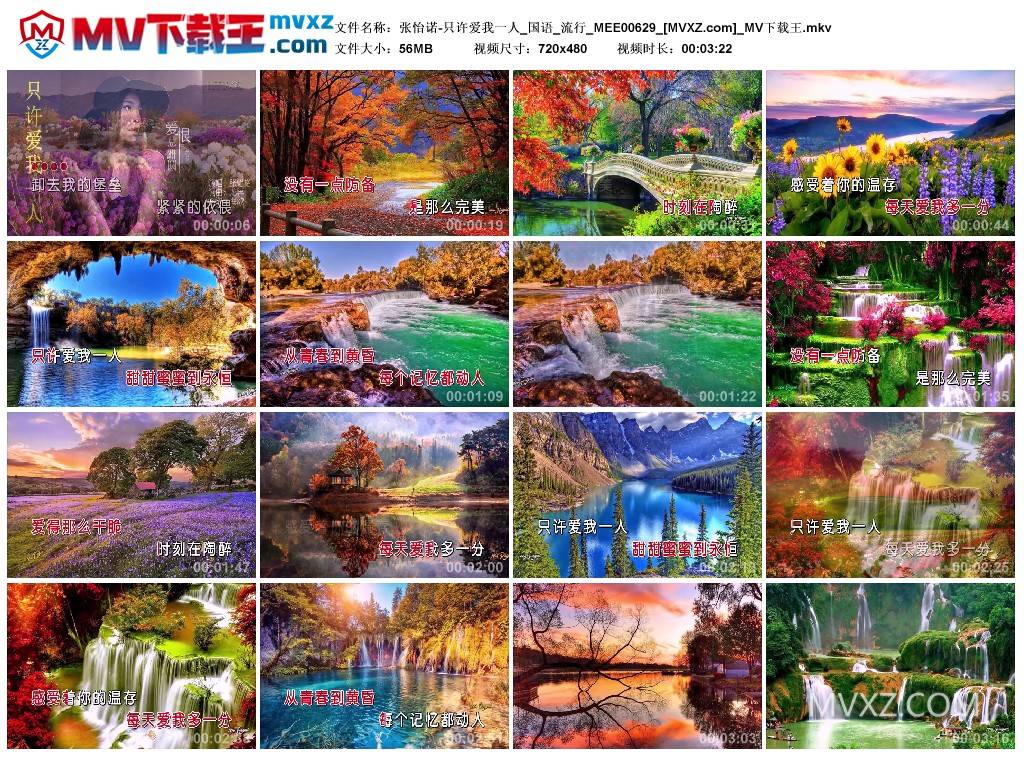 张怡诺-只许爱我一人_国语_流行_MEE00629